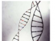 正常乳腺组织 DNA 中未来癌症发展的重要线索