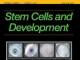 新的干细胞模型是研究安徒生综合症的重要工具